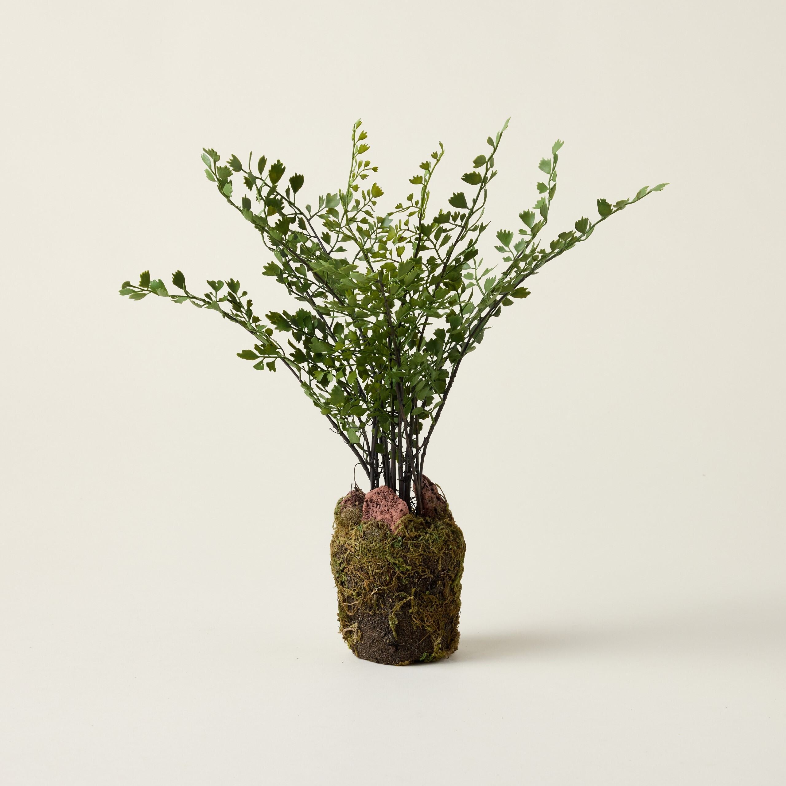 Realistic faux maidenhair fern drop-in with a crafted root ball, styled in a vessel for a lifelike botanical accent.