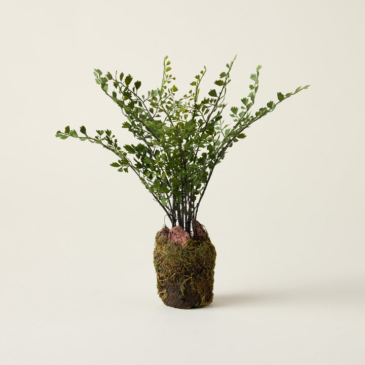 Realistic faux maidenhair fern drop-in with a crafted root ball, styled in a vessel for a lifelike botanical accent.