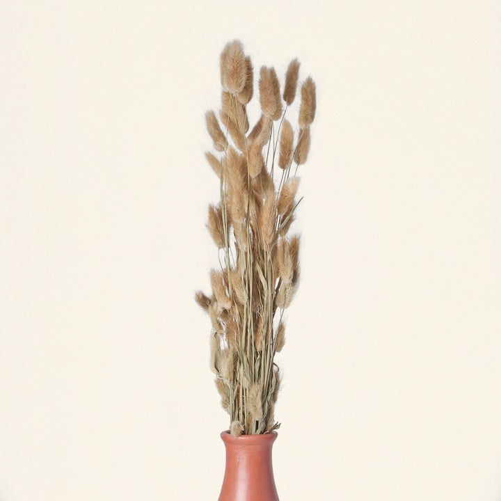 A bundle of dried bunny tail grass styled in a vase on a table.