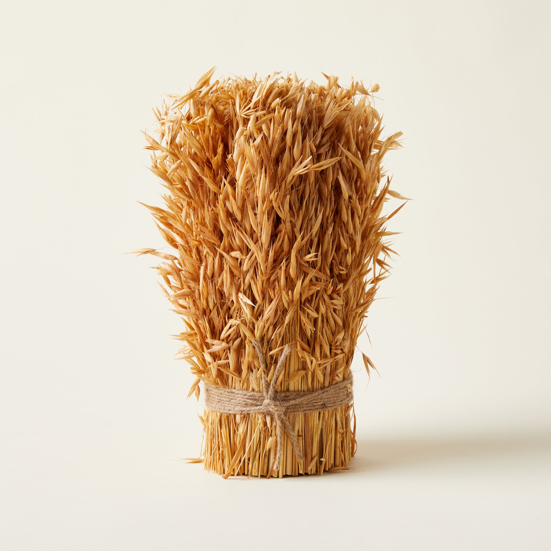 A decorative bundle of dried natural harvest grass.