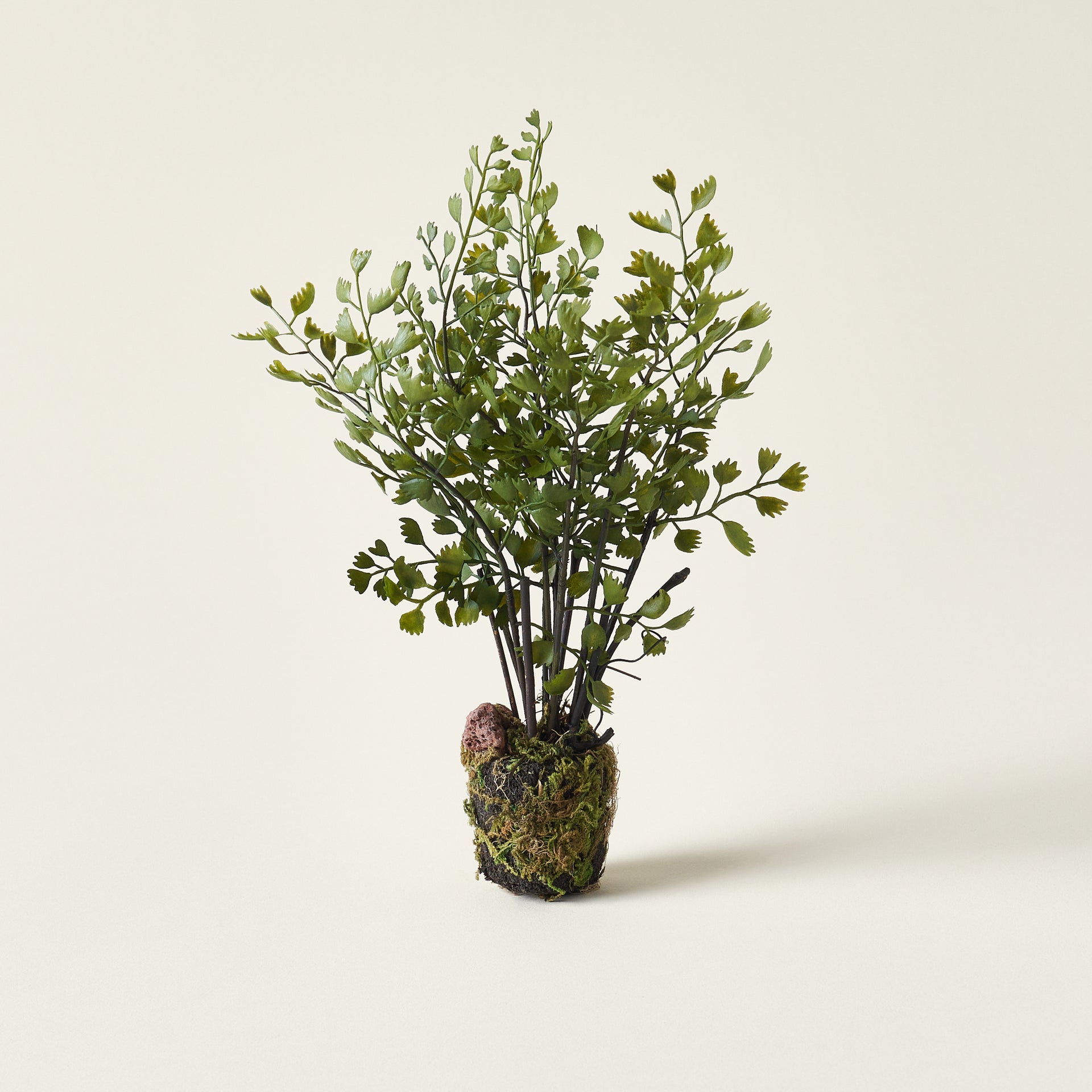 Realistic faux maidenhair drop-in for planters.