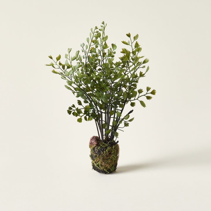 Realistic faux maidenhair drop-in for planters.