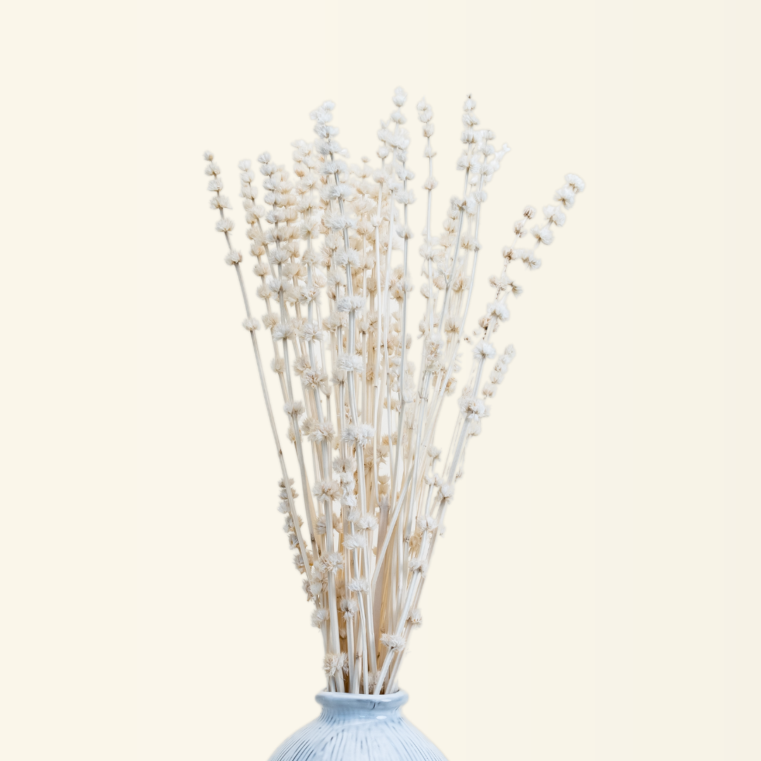 Natural botanical accent for floral arrangements.