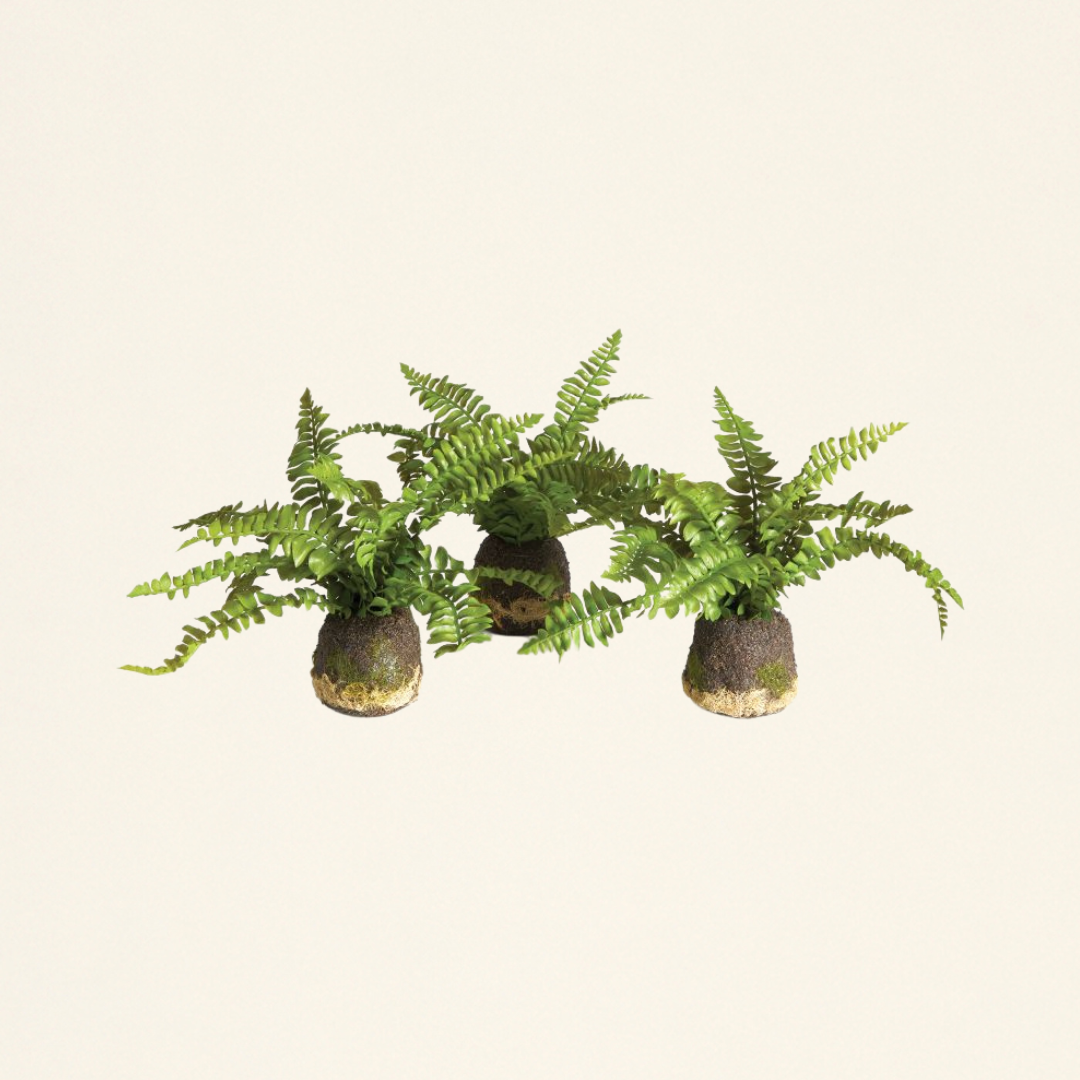 A realistic artificial green plant with a crafted root ball.