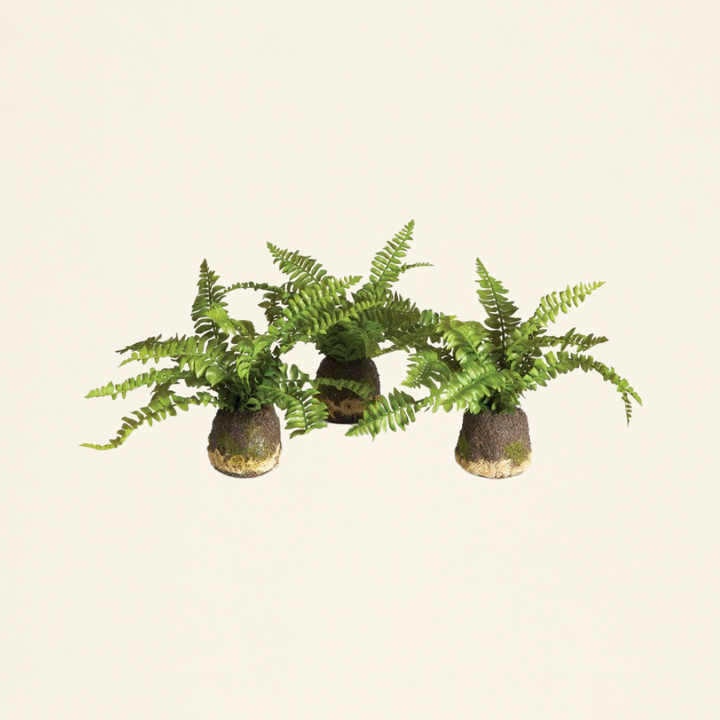 A realistic artificial green plant with a crafted root ball.