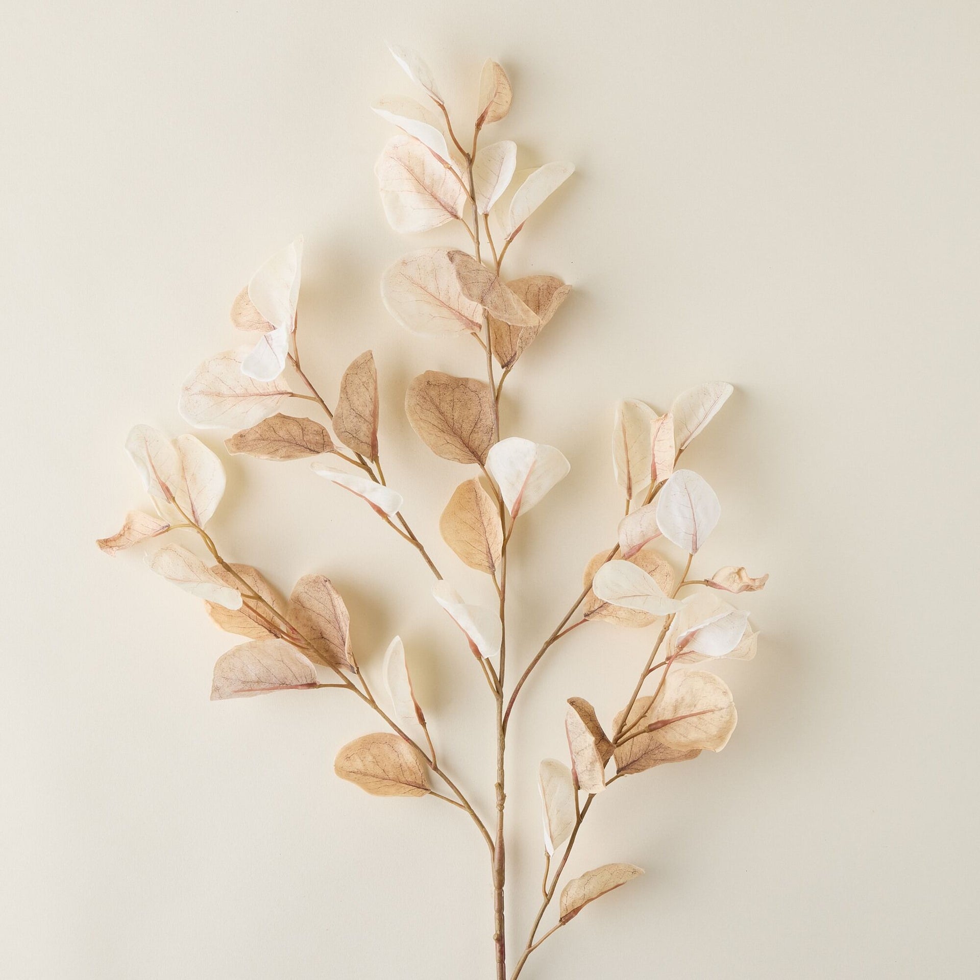 Faux Dried Eucalyptus Branch