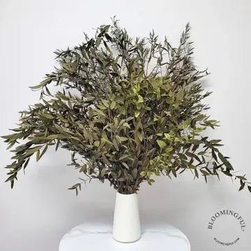 Preserved Eucalyptus