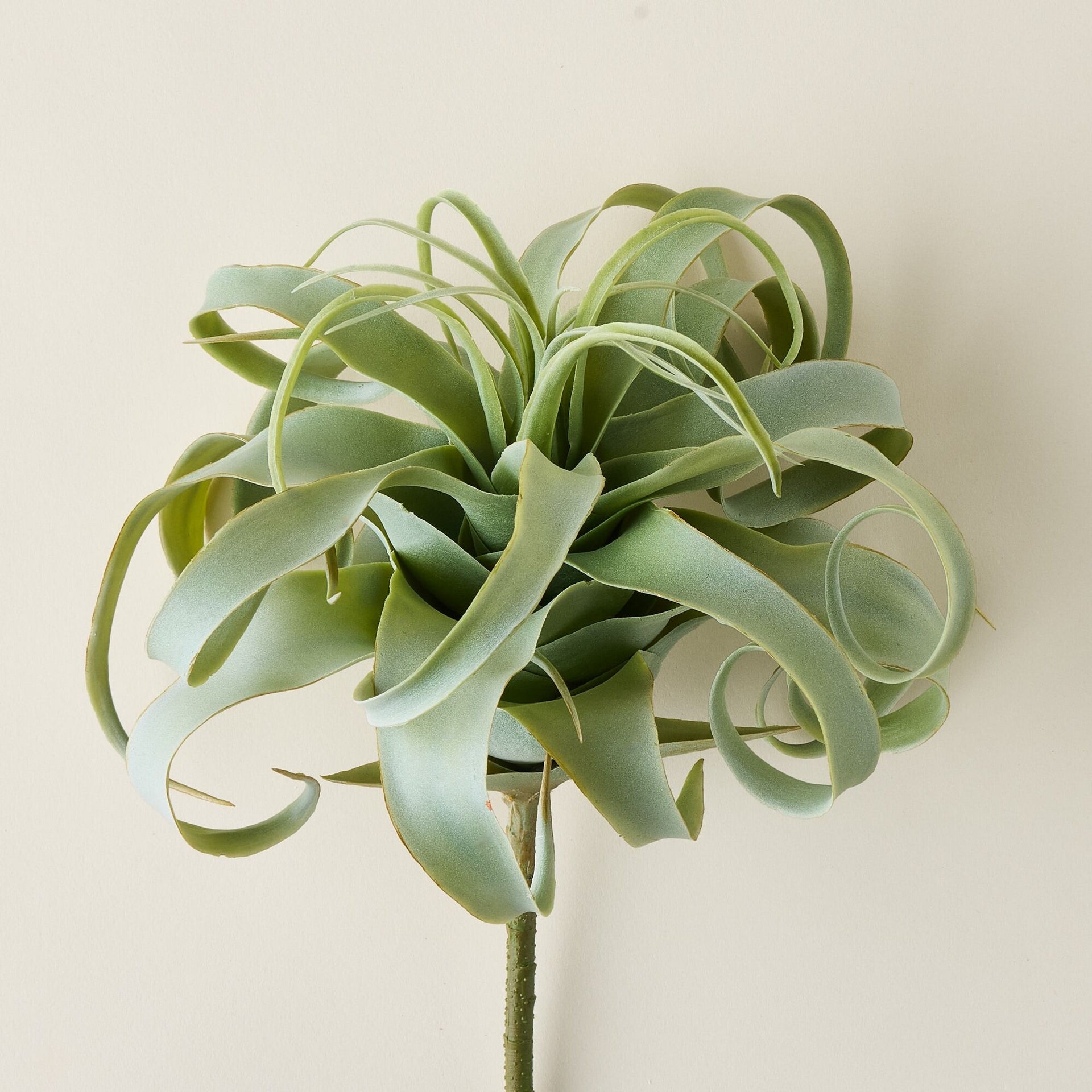 large faux air plant Faux Tillandsia Air Plant