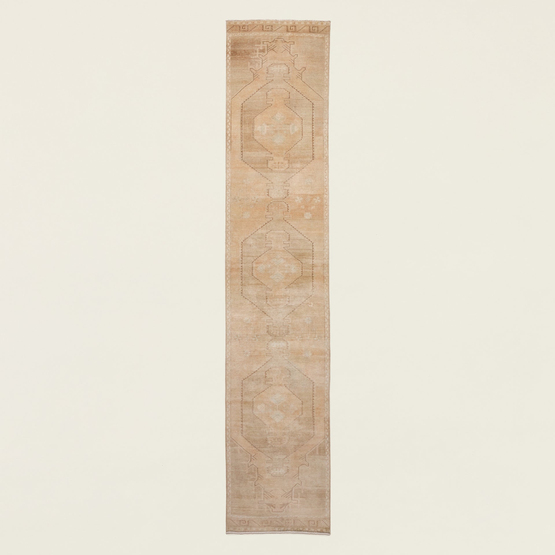 Alva Vintage Runner 3' x 14'9"