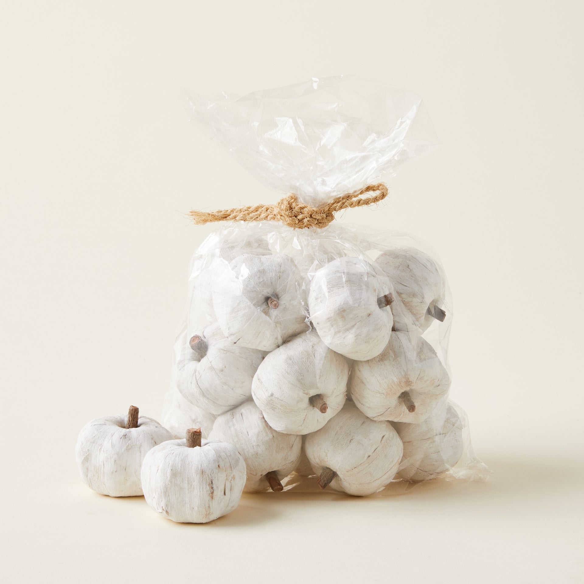 Bag of Dried Mini Faux Pumpkins