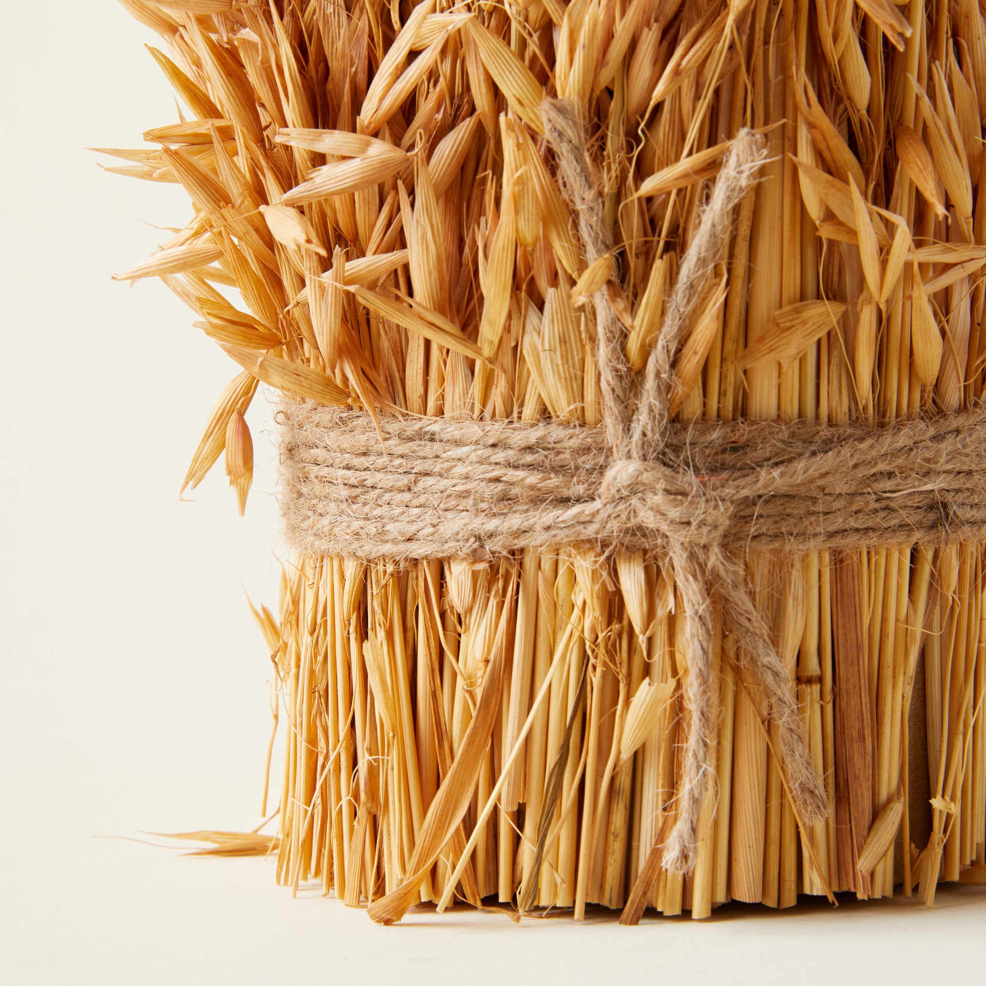 Dried Natural Harvest Grass Bundle