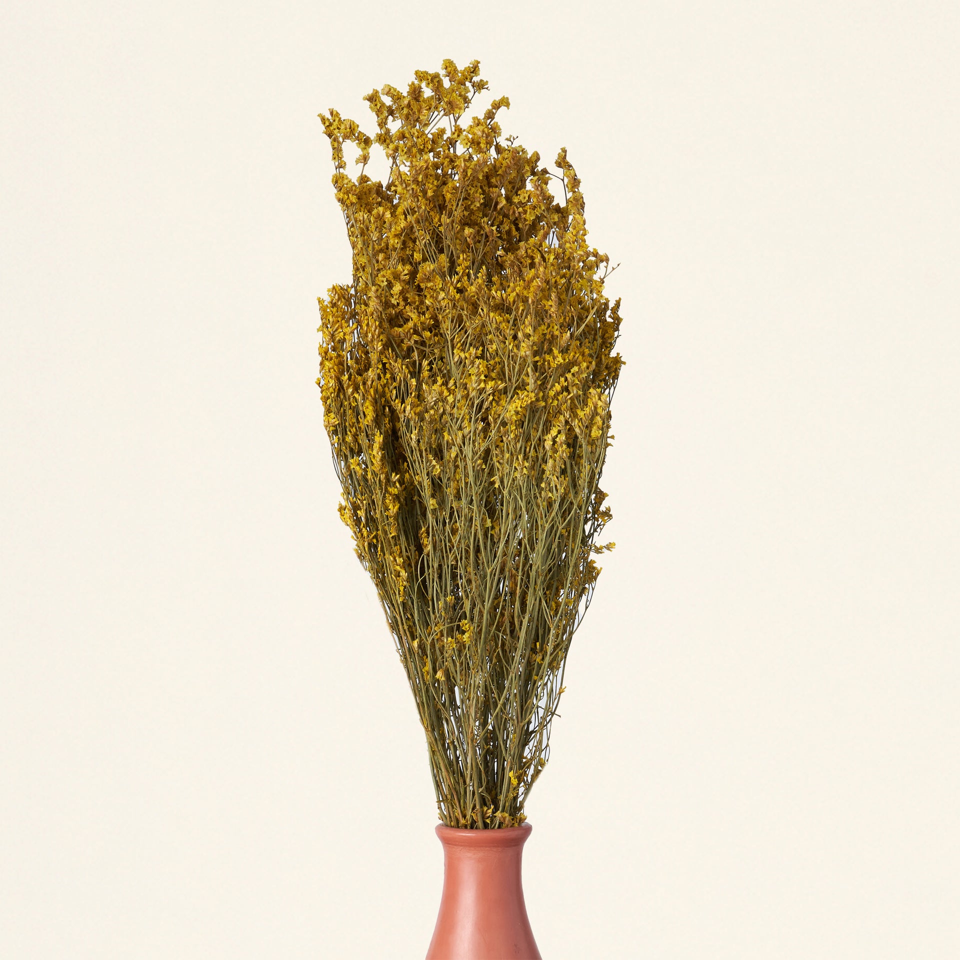 Dried Natural Pearl Grass Bunch