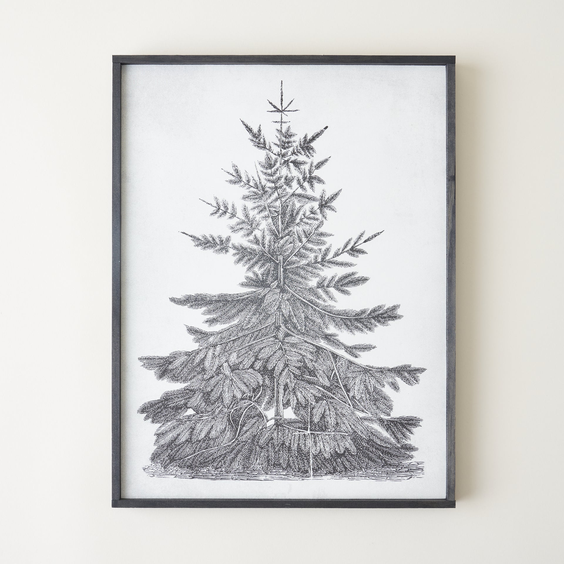 Evergreen Tree Vintage Print