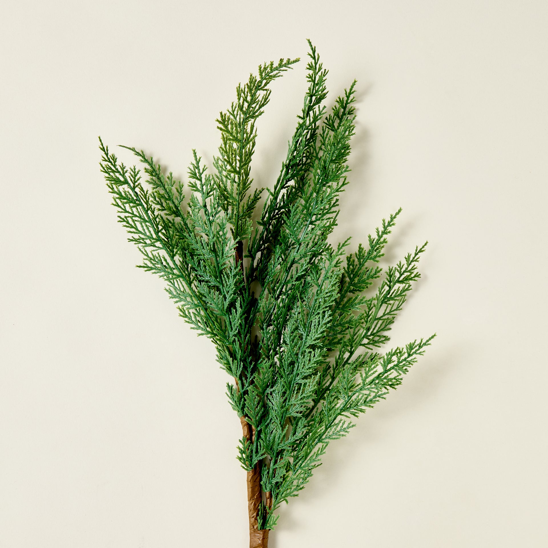 Faux Cypress Leaf Stem