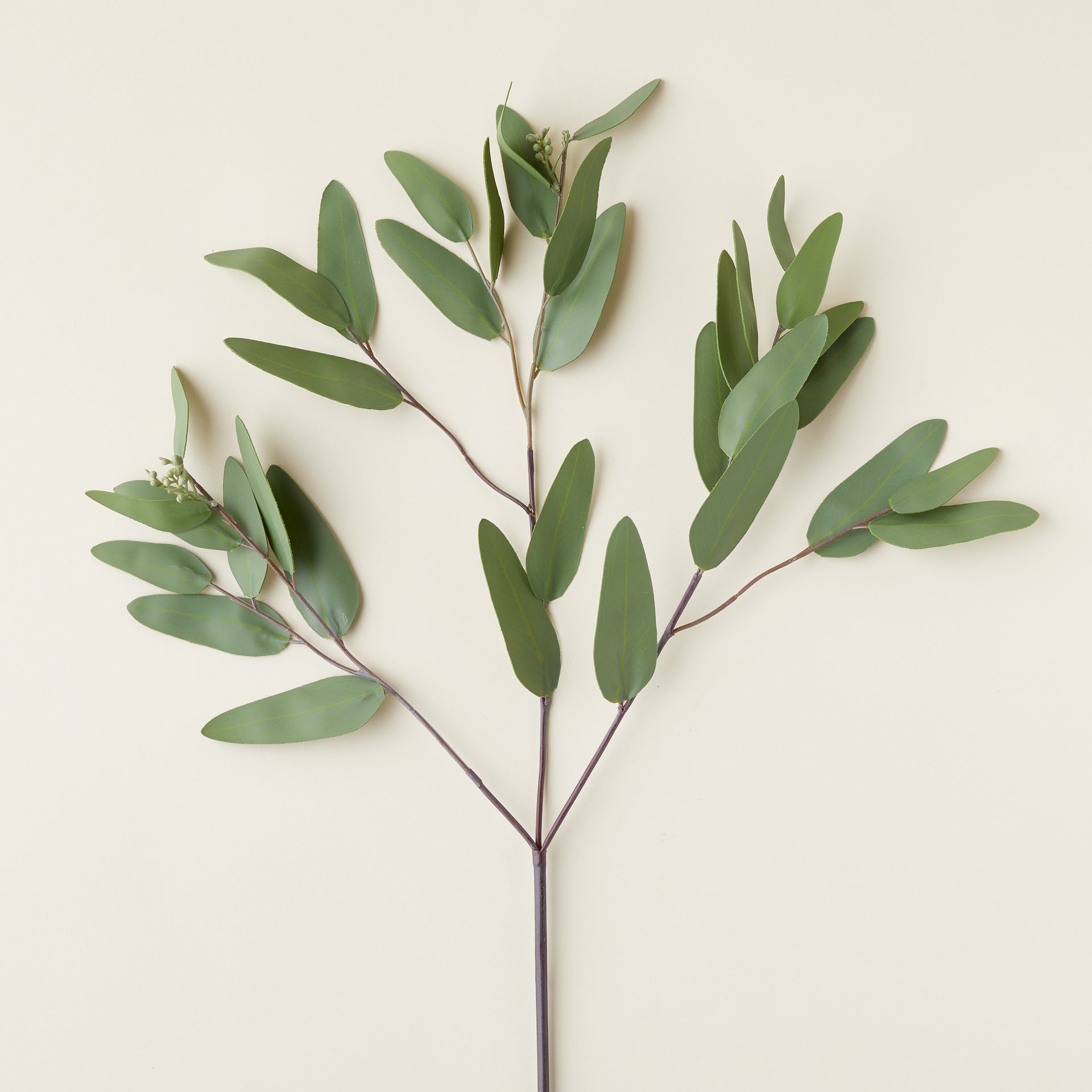 Faux Eucalyptus Branch