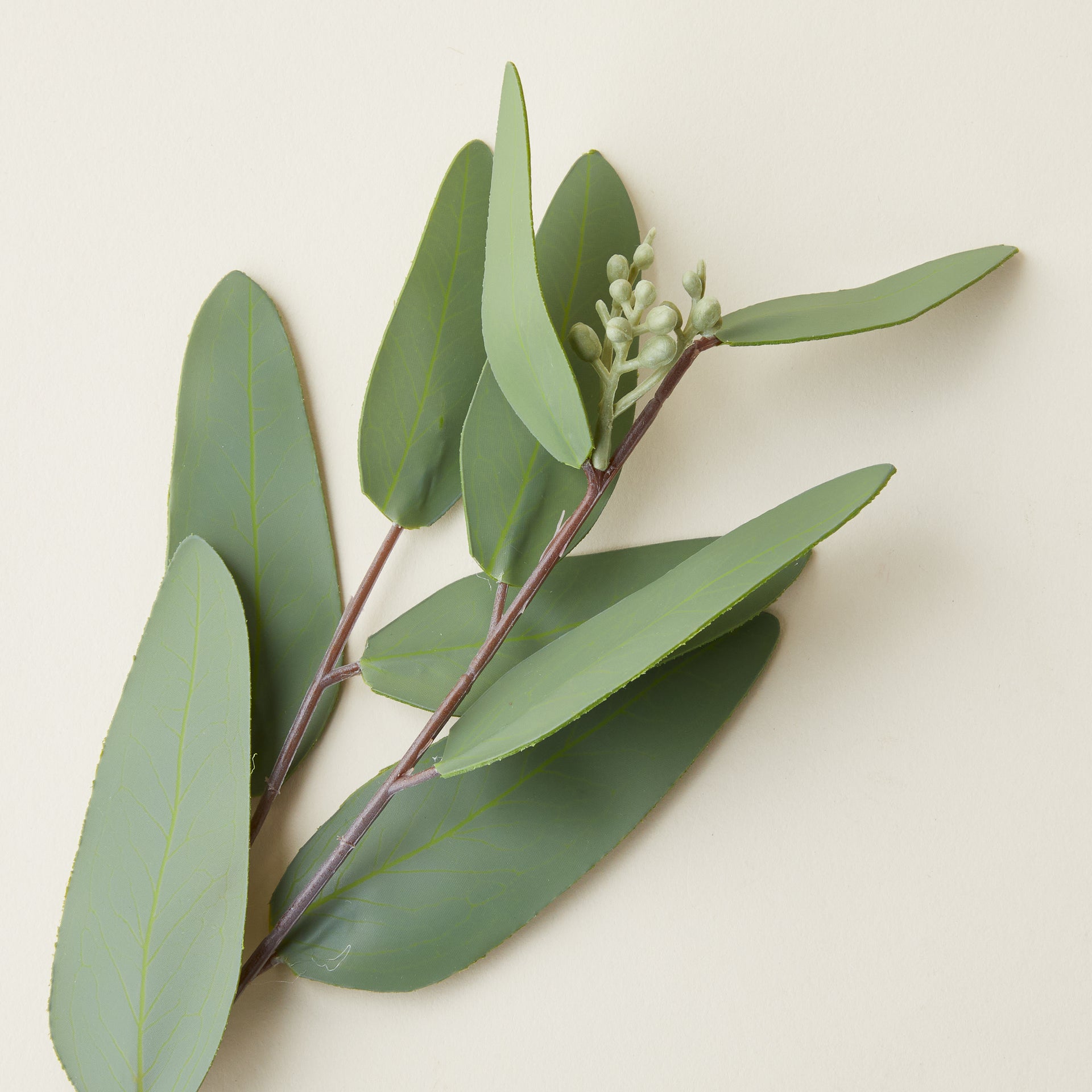 Faux Eucalyptus Branch