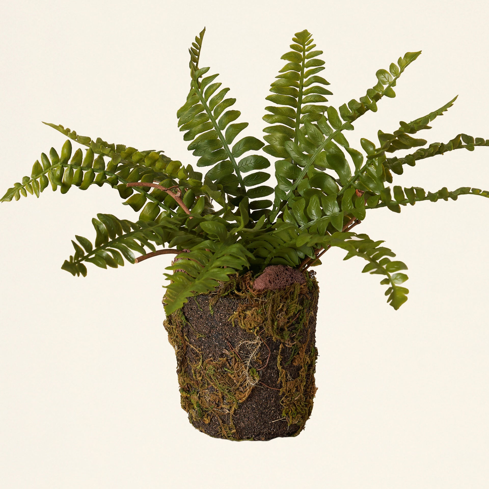 Faux Fern Drop-In