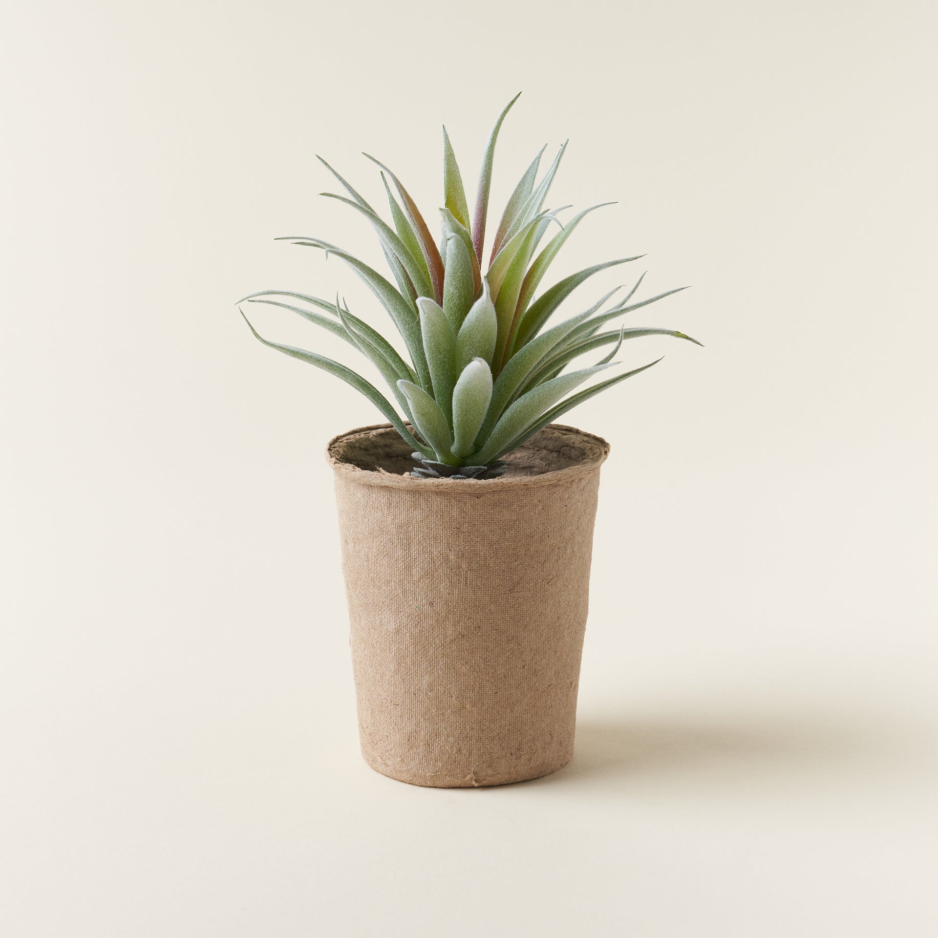 Faux Succulent