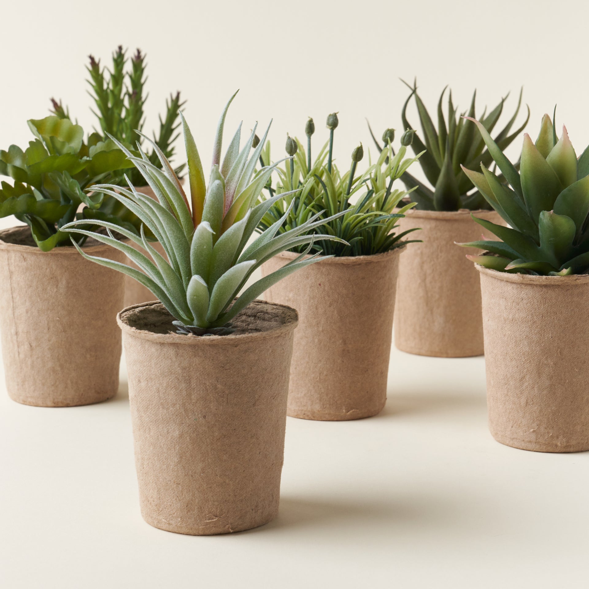 Faux Succulent