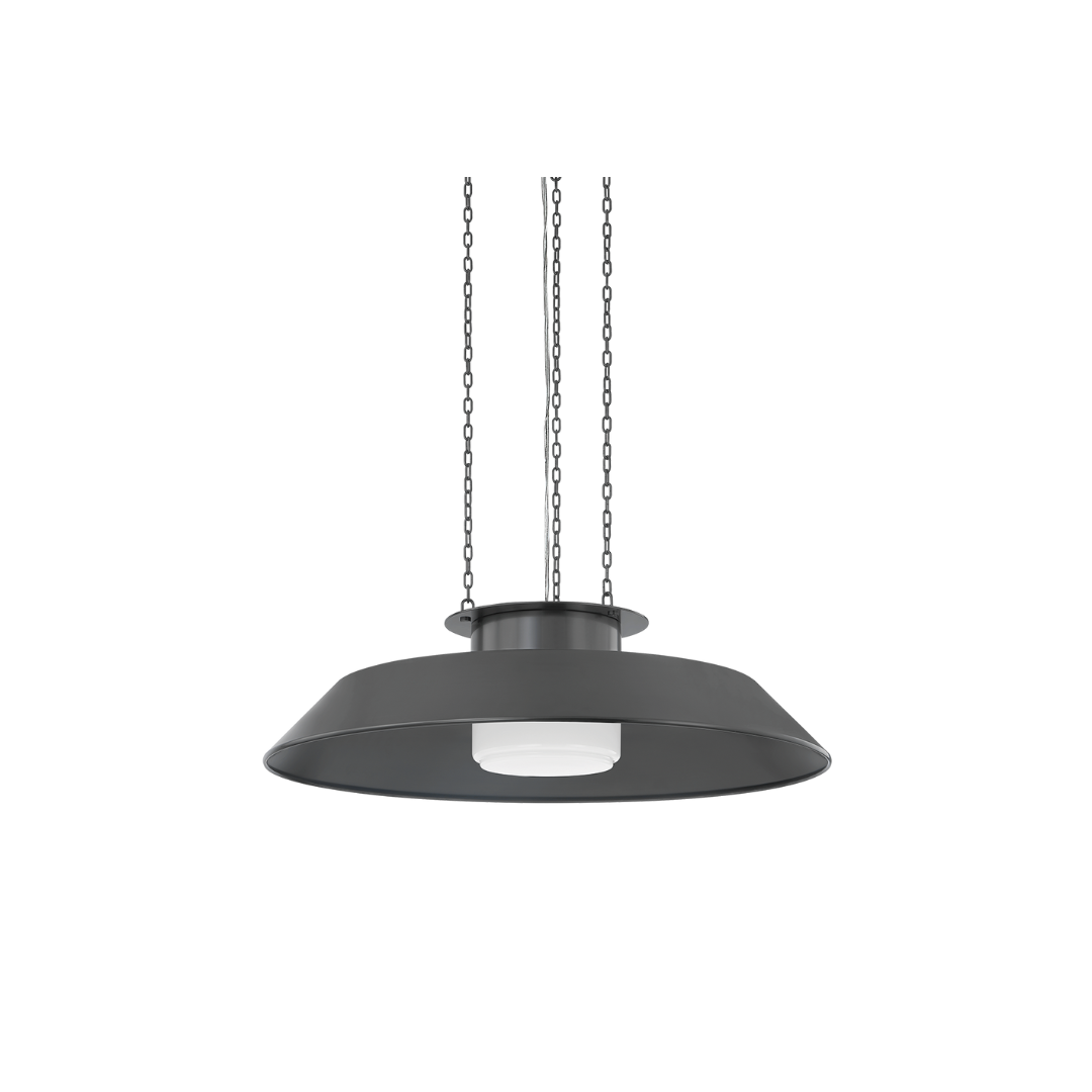 Woodrow Pendant