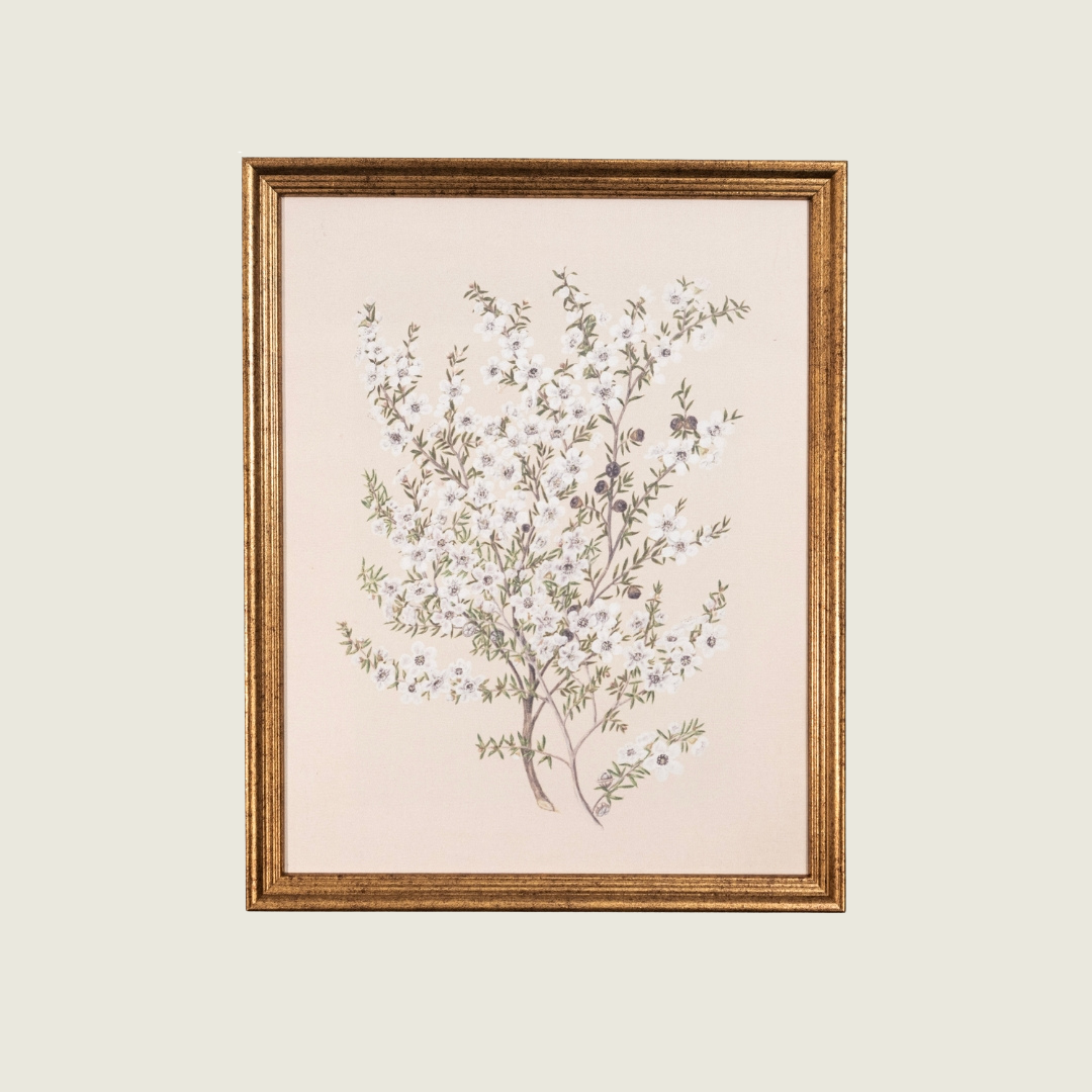 Vintage Florals