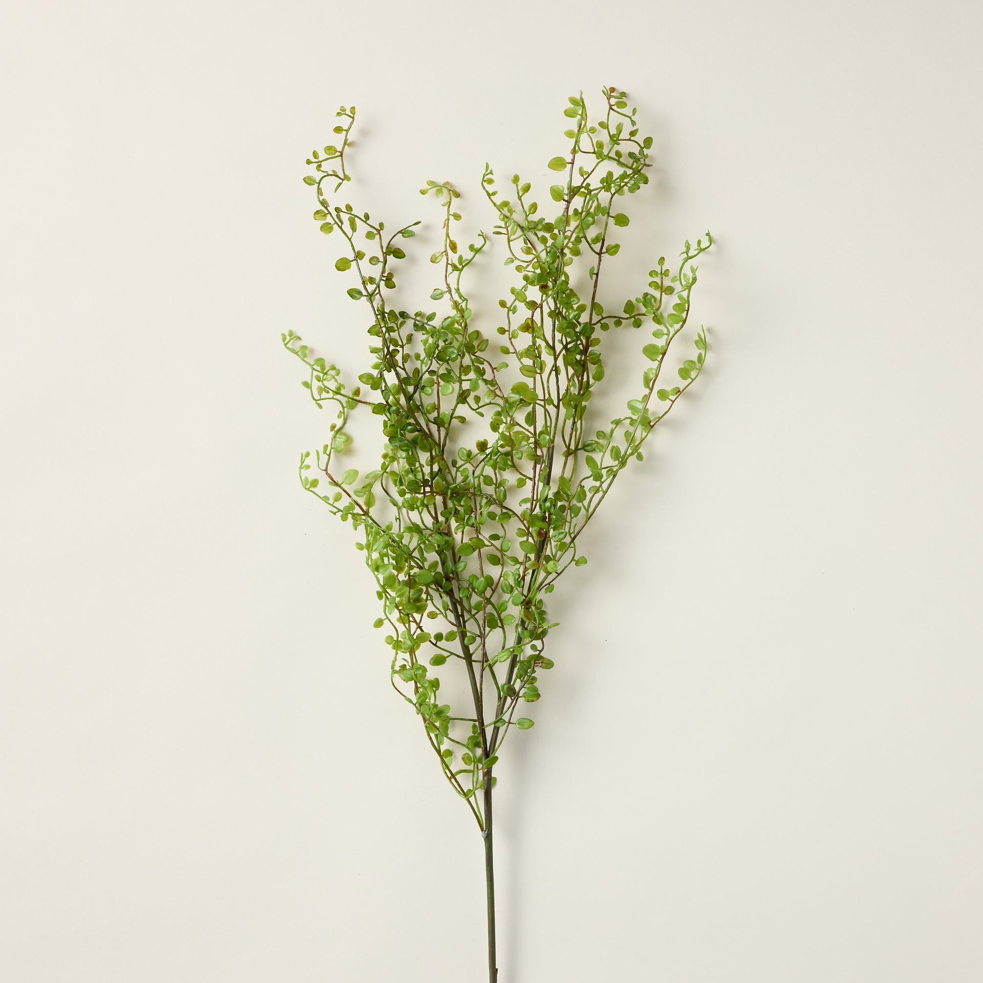 Faux Mühlenbeckia branch with a lifelike, subtle texture and vibrant green color.