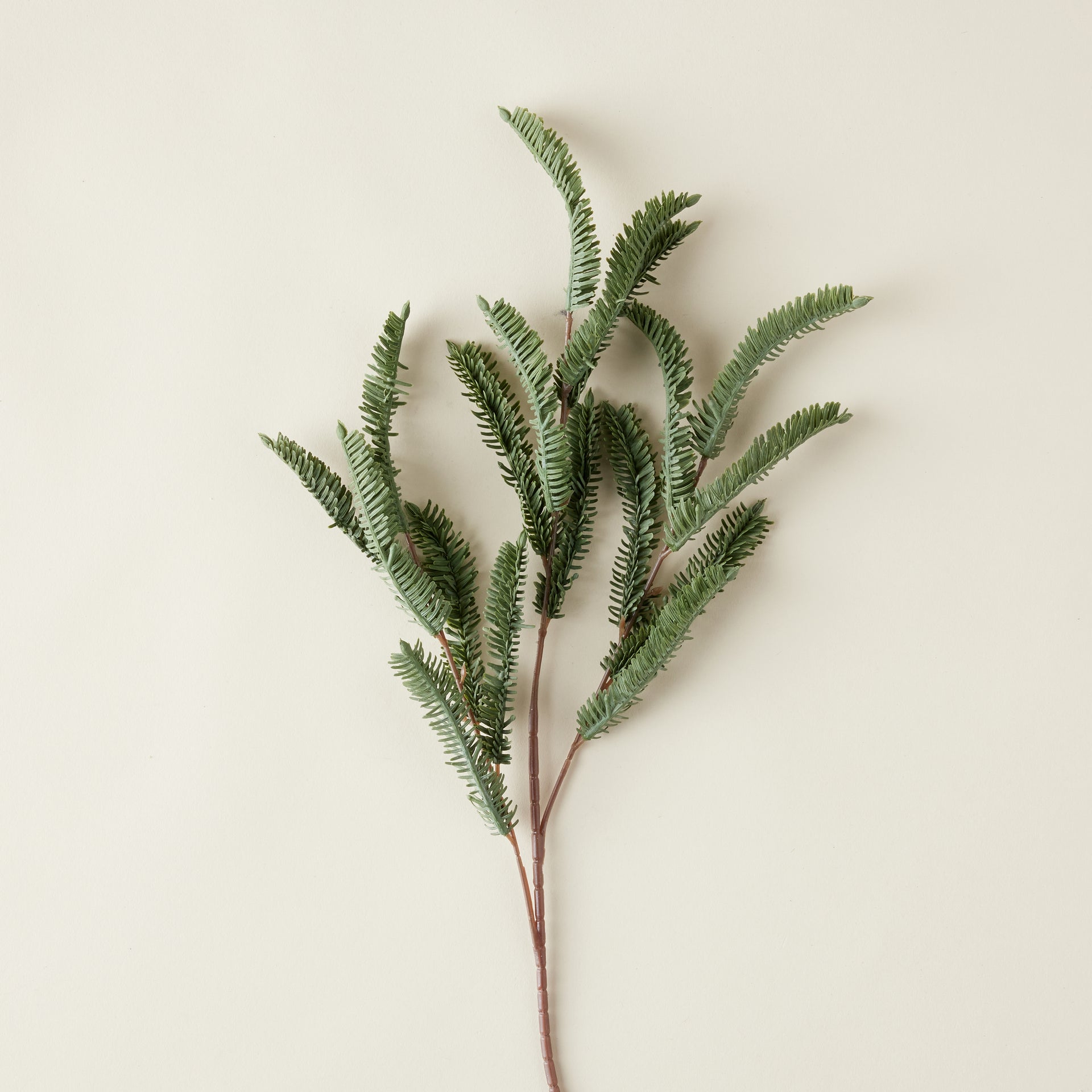 Pine Sprig