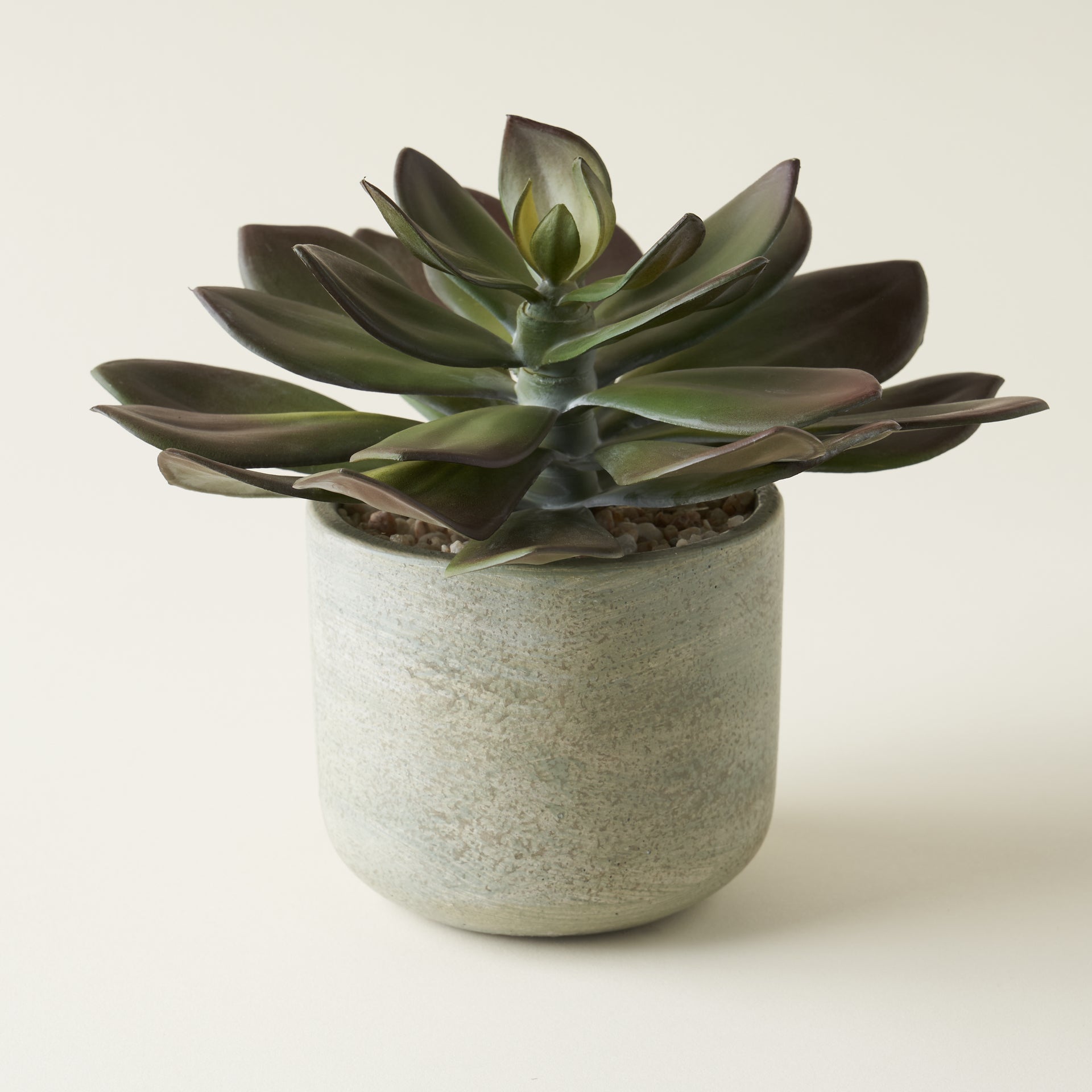 Potted Faux Succulent