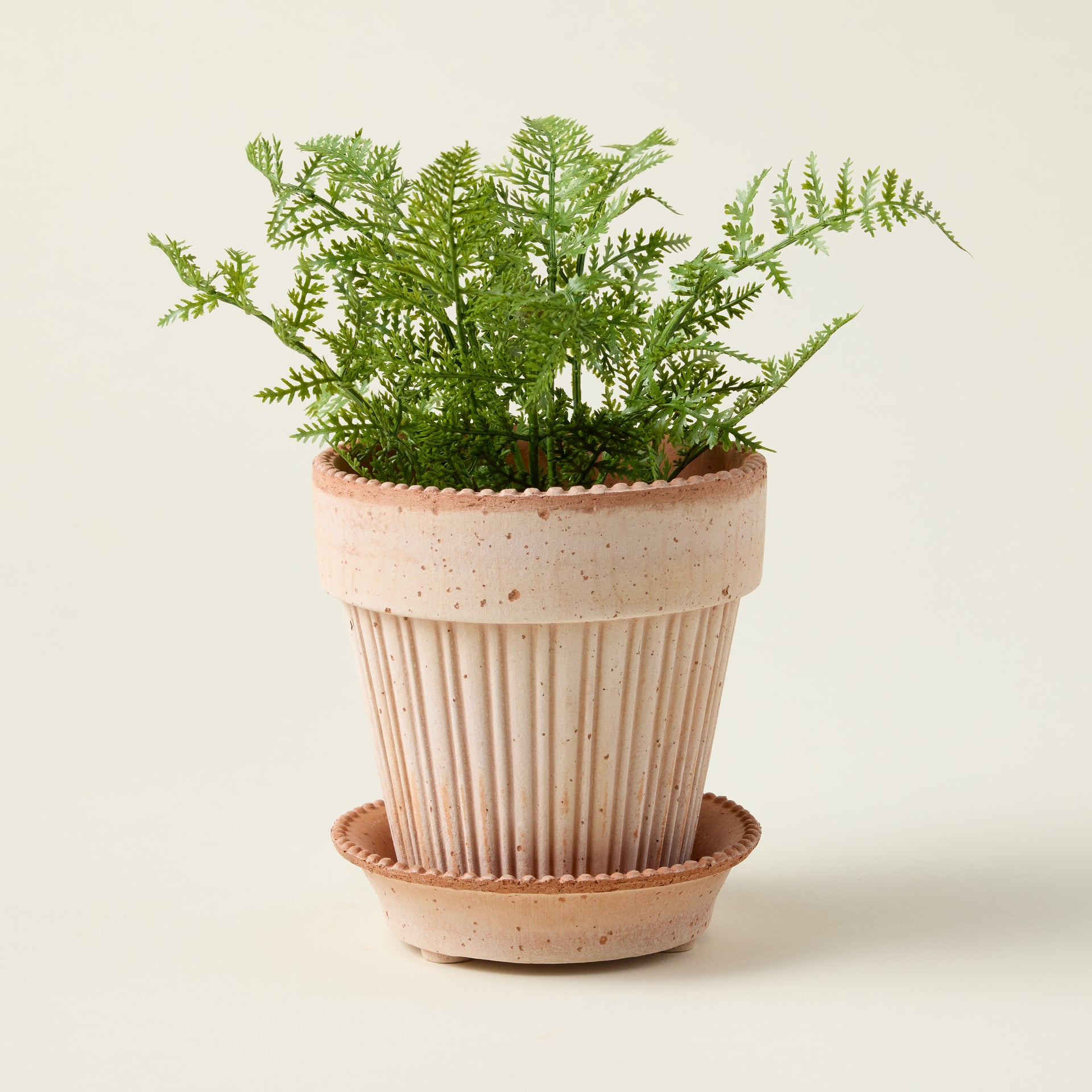Soft Fern Drop-in
