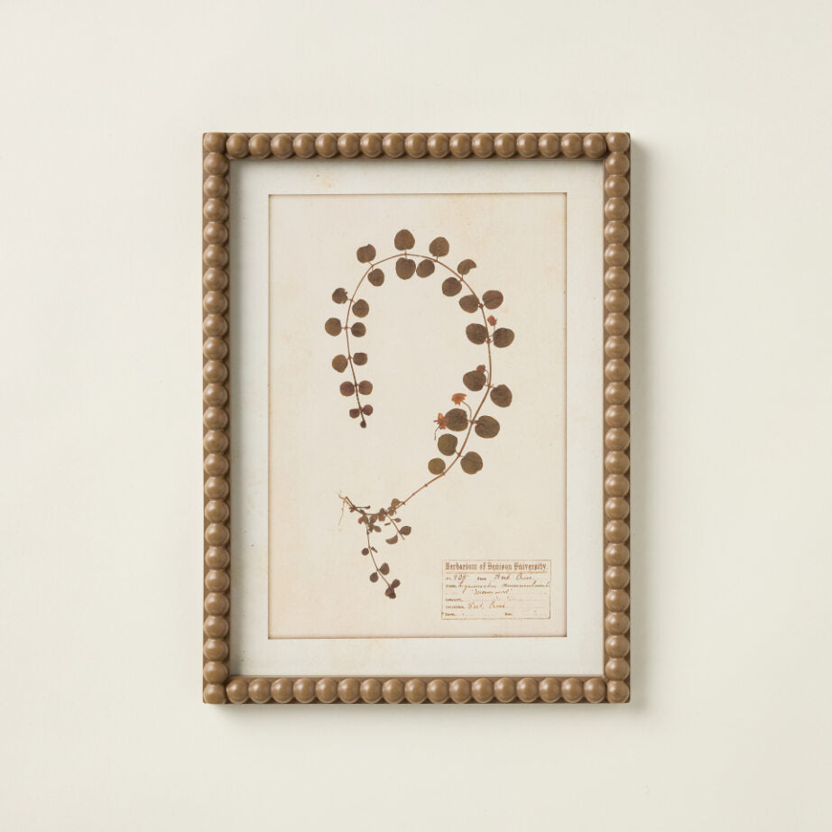 Bubble Frame Botanical Print