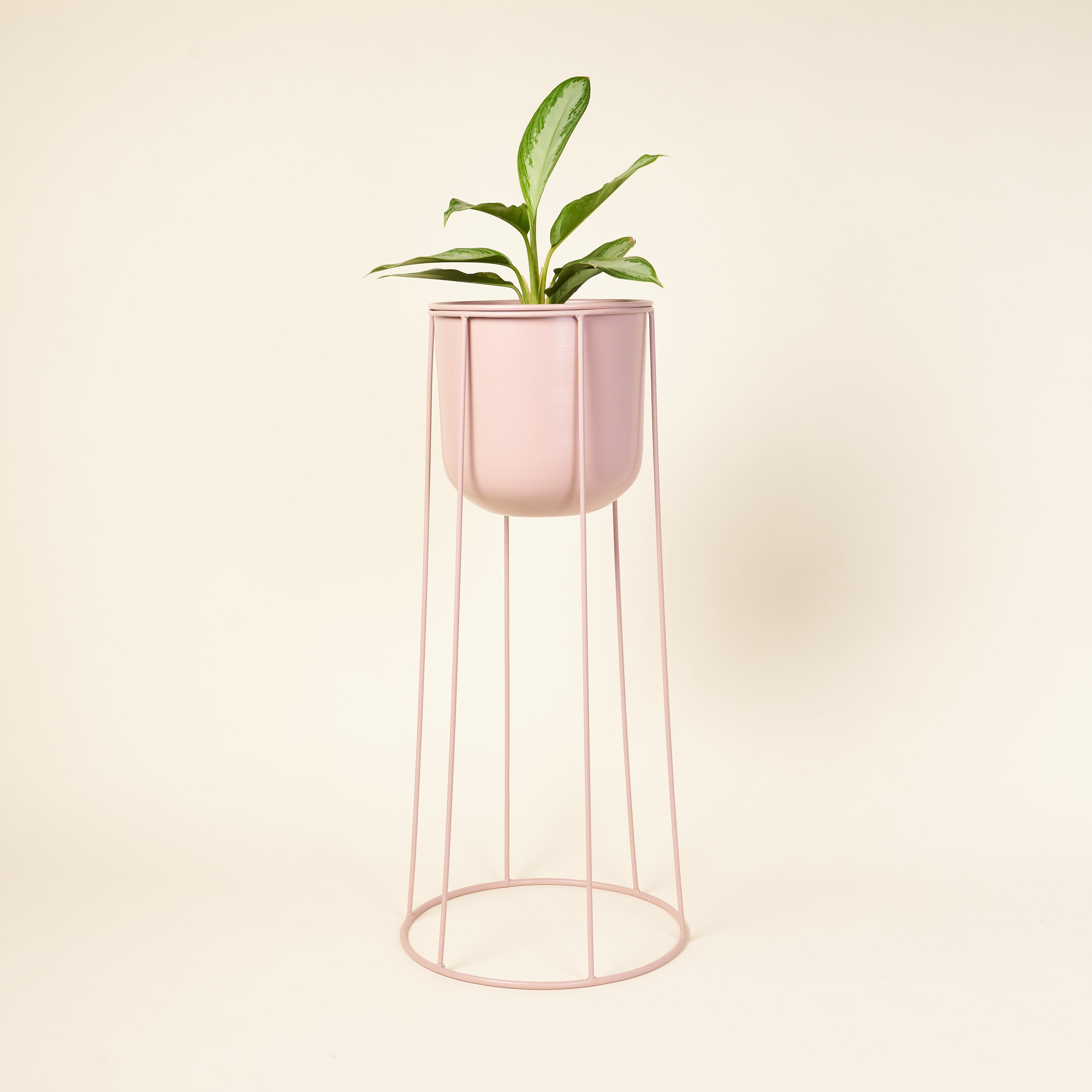 Cece Planter with Stand