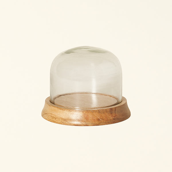Cloche with Wood Base