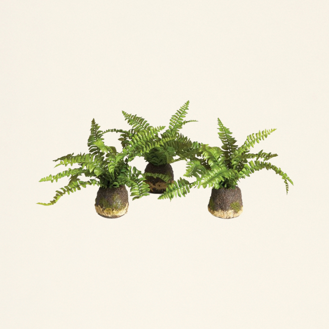 Faux Boston Fern Drop-In