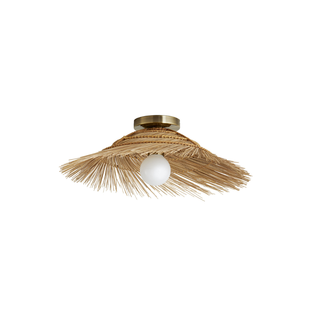 Hayes Sconce/Ceiling Mount