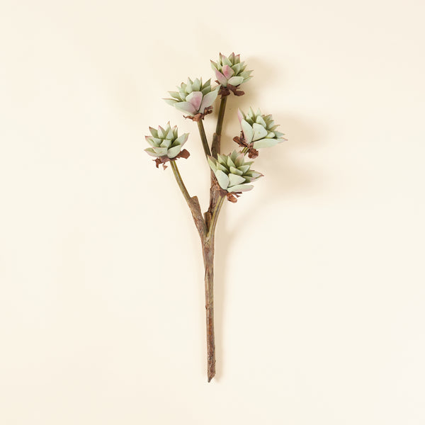 Pointed Faux Succulent Branch