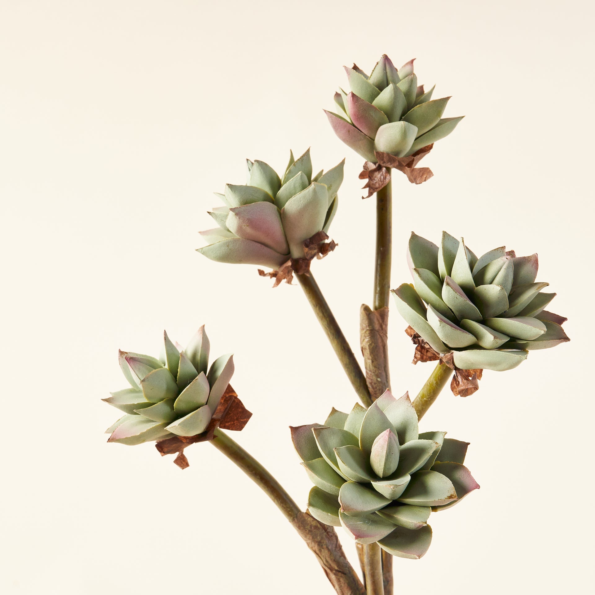 Pointed Faux Succulent Branch