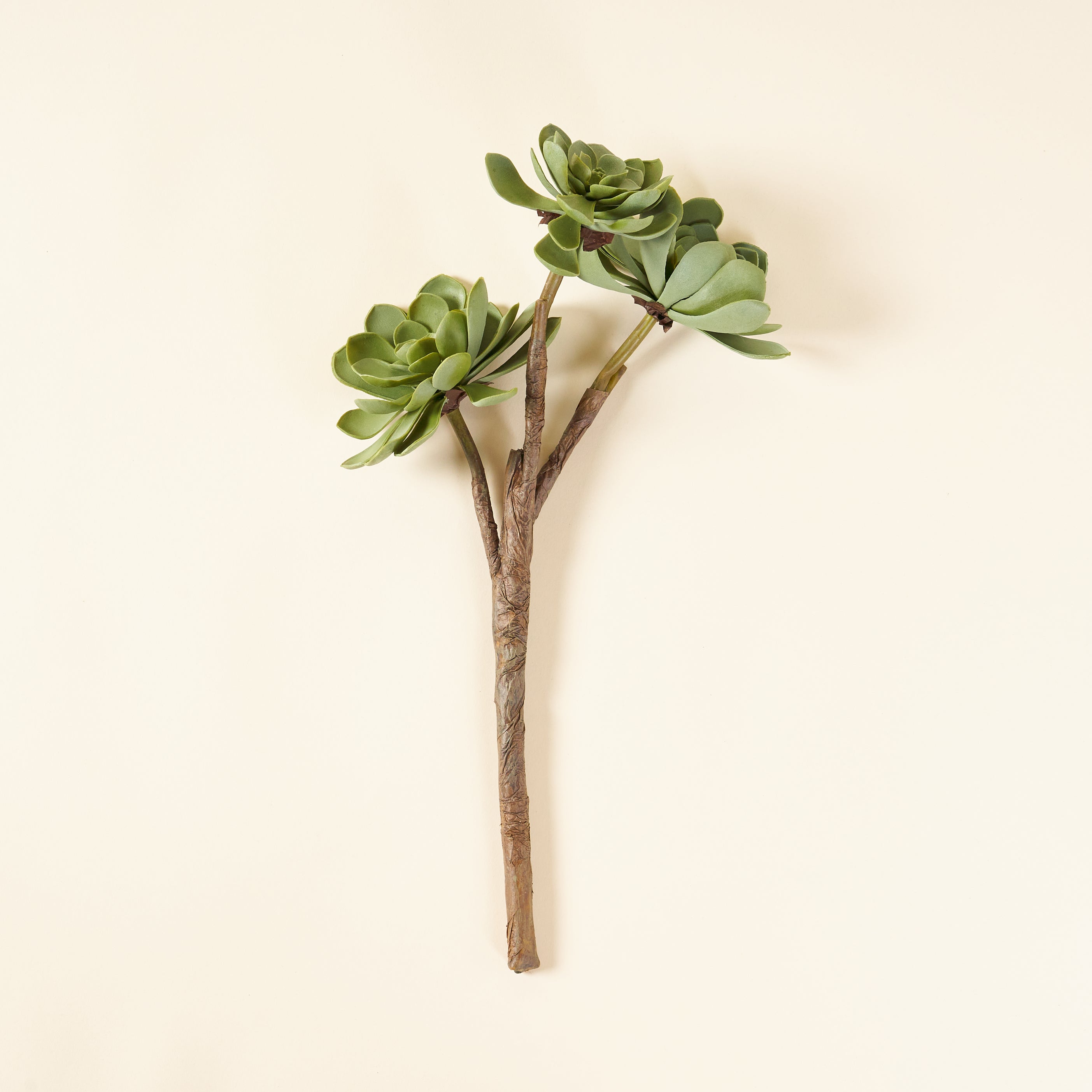 Rounded Faux Succulent Branch