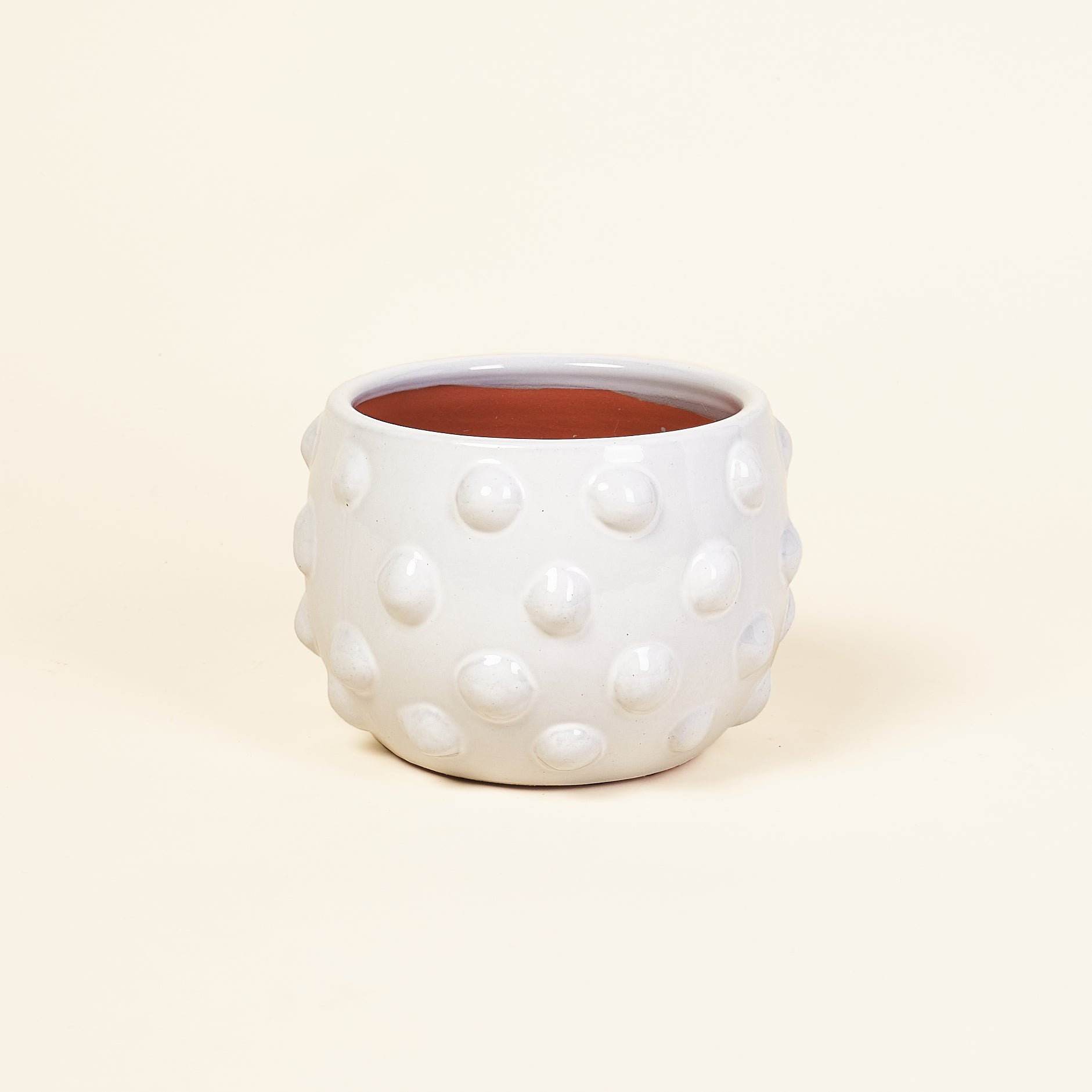 White Dotted Planter